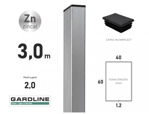 Stalp zincat 60x40x1,2mm L-3,0m