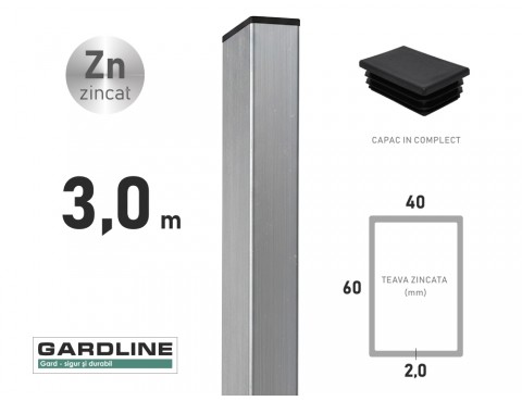 Stalp zincat 60x40x2,0mm L-3,0m