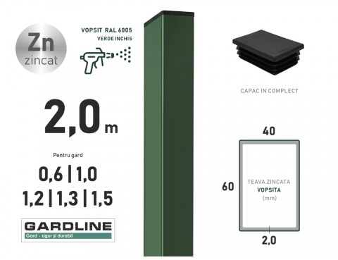 Stalp zincat 60x40x2,0mm L-2,0m RAL 6005