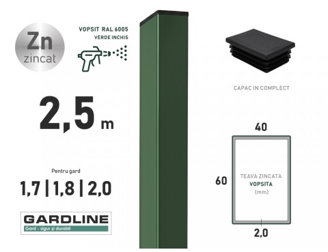 Stalp zincat 60x40x2,0mm L-2,5m RAL 6005
