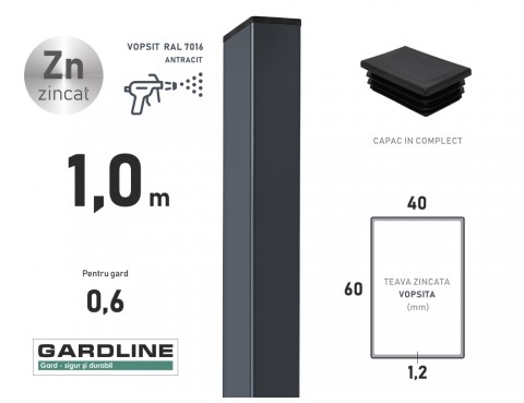 Stalp zincat 60x40x1,2mm L-1,0m RAL 7016