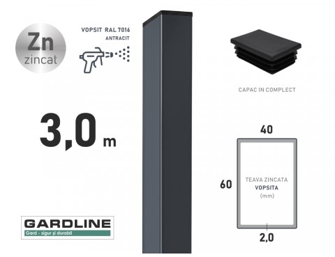 Stalp zincat 60x40x2,0mm L-3,0m RAL 7016